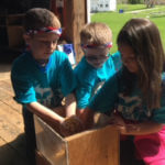 Three young students wearing coordinating blue shirts putting something into a wooden box.
