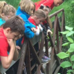 Group of young students looking down over a bridge.