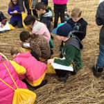 Several students crouching down on the ground with notebooks in their hands.